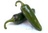 chile jalapeño